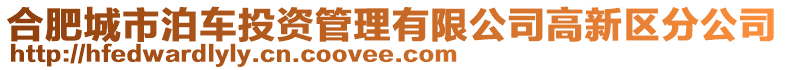 合肥城市泊車投資管理有限公司高新區(qū)分公司