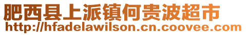 肥西縣上派鎮何貴波超市