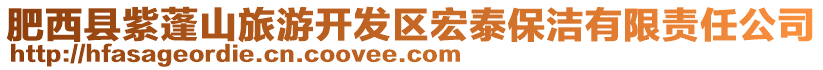 肥西縣紫蓬山旅游開發(fā)區(qū)宏泰保潔有限責任公司