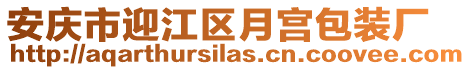 安慶市迎江區(qū)月宮包裝廠