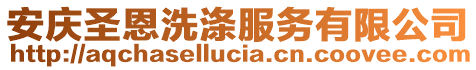 安慶圣恩洗滌服務(wù)有限公司