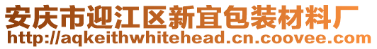 安慶市迎江區(qū)新宜包裝材料廠