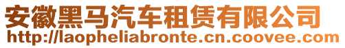 安徽黑馬汽車租賃有限公司