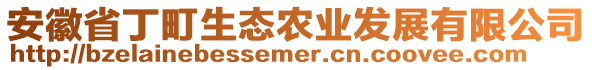 安徽省丁町生態(tài)農(nóng)業(yè)發(fā)展有限公司