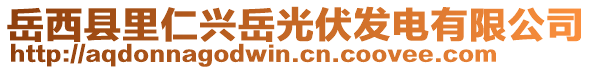 岳西县里仁兴岳光伏发电有限公司