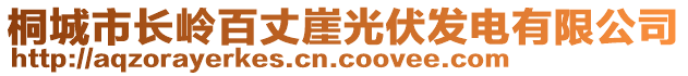 桐城市長嶺百丈崖光伏發(fā)電有限公司