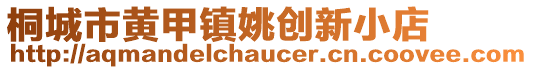 桐城市黃甲鎮(zhèn)姚創(chuàng)新小店