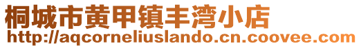 桐城市黃甲鎮(zhèn)豐灣小店