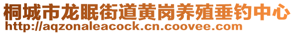 桐城市龍眠街道黃崗養(yǎng)殖垂釣中心