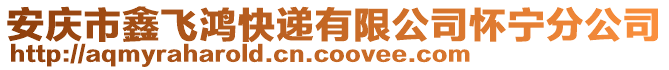 安慶市鑫飛鴻快遞有限公司懷寧分公司