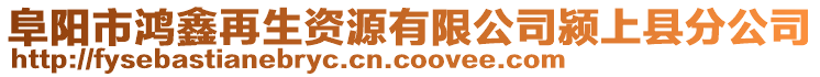 阜陽市鴻鑫再生資源有限公司潁上縣分公司