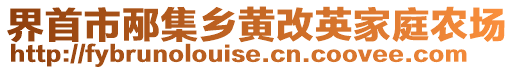 界首市邴集鄉(xiāng)黃改英家庭農(nóng)場