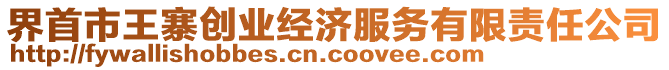 界首市王寨創(chuàng)業(yè)經(jīng)濟(jì)服務(wù)有限責(zé)任公司