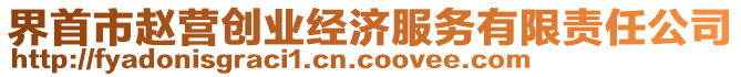 界首市趙營創(chuàng)業(yè)經(jīng)濟服務(wù)有限責任公司