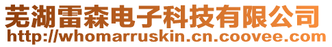 蕪湖雷森電子科技有限公司