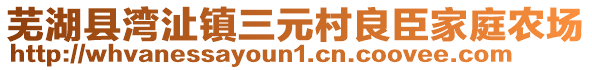 芜湖县湾沚镇三元村良臣家庭农场