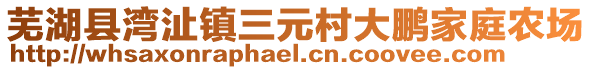 蕪湖縣灣沚鎮(zhèn)三元村大鵬家庭農(nóng)場(chǎng)