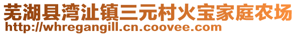 芜湖县湾沚镇三元村火宝家庭农场