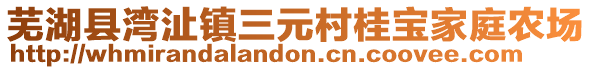 蕪湖縣灣沚鎮(zhèn)三元村桂寶家庭農場