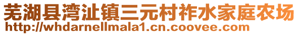 芜湖县湾沚镇三元村祚水家庭农场