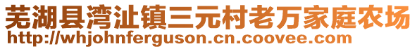 蕪湖縣灣沚鎮(zhèn)三元村老萬家庭農場