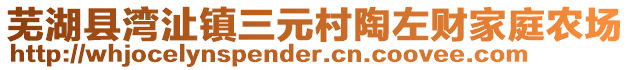 芜湖县湾沚镇三元村陶左财家庭农场