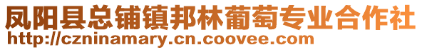 凤阳县总铺镇邦林葡萄专业合作社