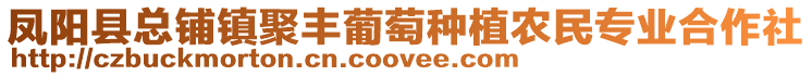 鳳陽(yáng)縣總鋪鎮(zhèn)聚豐葡萄種植農(nóng)民專(zhuān)業(yè)合作社