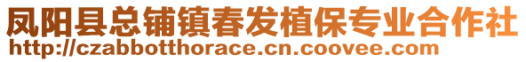 鳳陽縣總鋪鎮(zhèn)春發(fā)植保專業(yè)合作社