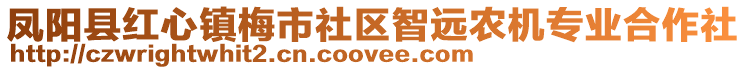 鳳陽(yáng)縣紅心鎮(zhèn)梅市社區(qū)智遠(yuǎn)農(nóng)機(jī)專(zhuān)業(yè)合作社