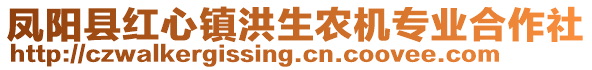 鳳陽縣紅心鎮(zhèn)洪生農(nóng)機(jī)專業(yè)合作社