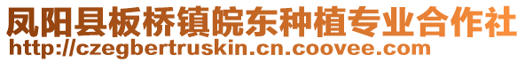 鳳陽縣板橋鎮(zhèn)皖東種植專業(yè)合作社