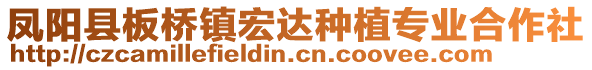 鳳陽縣板橋鎮(zhèn)宏達種植專業(yè)合作社