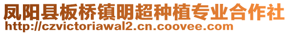 鳳陽縣板橋鎮(zhèn)明超種植專業(yè)合作社