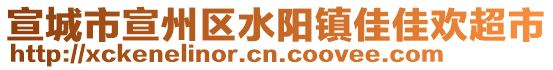 宣城市宣州區(qū)水陽鎮(zhèn)佳佳歡超市