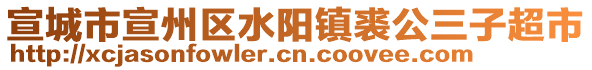 宣城市宣州區(qū)水陽鎮(zhèn)裘公三子超市