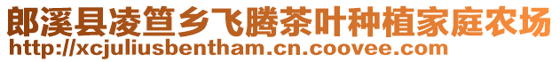 郎溪縣凌笪鄉(xiāng)飛騰茶葉種植家庭農(nóng)場(chǎng)