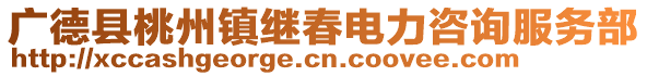 广德县桃州镇继春电力咨询服务部