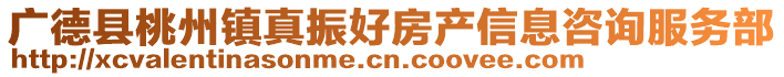 廣德縣桃州鎮(zhèn)真振好房產(chǎn)信息咨詢(xún)服務(wù)部