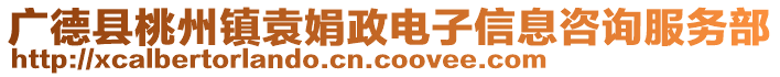 廣德縣桃州鎮(zhèn)袁娟政電子信息咨詢服務(wù)部