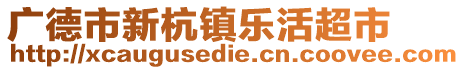 广德市新杭镇乐活超市