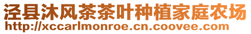 泾县沐风茶茶叶种植家庭农场