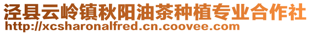 泾县云岭镇秋阳油茶种植专业合作社