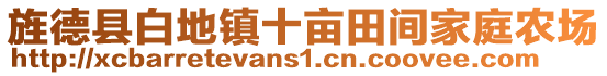 旌德縣白地鎮(zhèn)十畝田間家庭農(nóng)場(chǎng)