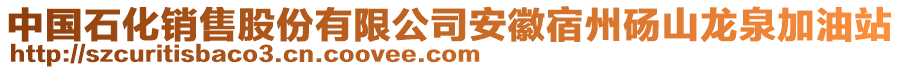 中国石化销售股份有限公司安徽宿州砀山龙泉加油站