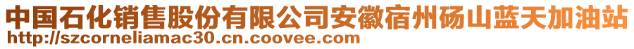 中國(guó)石化銷售股份有限公司安徽宿州碭山藍(lán)天加油站