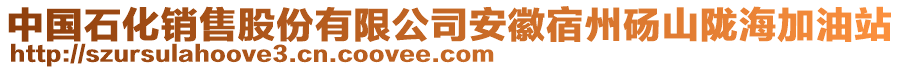 中國石化銷售股份有限公司安徽宿州碭山隴海加油站