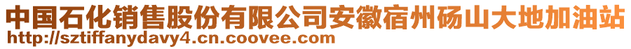 中國石化銷售股份有限公司安徽宿州碭山大地加油站