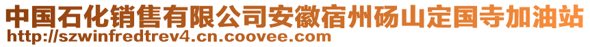 中國石化銷售有限公司安徽宿州碭山定國寺加油站