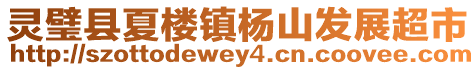 灵璧县夏楼镇杨山发展超市